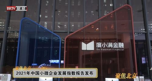 2021小微企业发展指数报告 度小满提供定制化产品,帮小微缓解融资难 融资贵